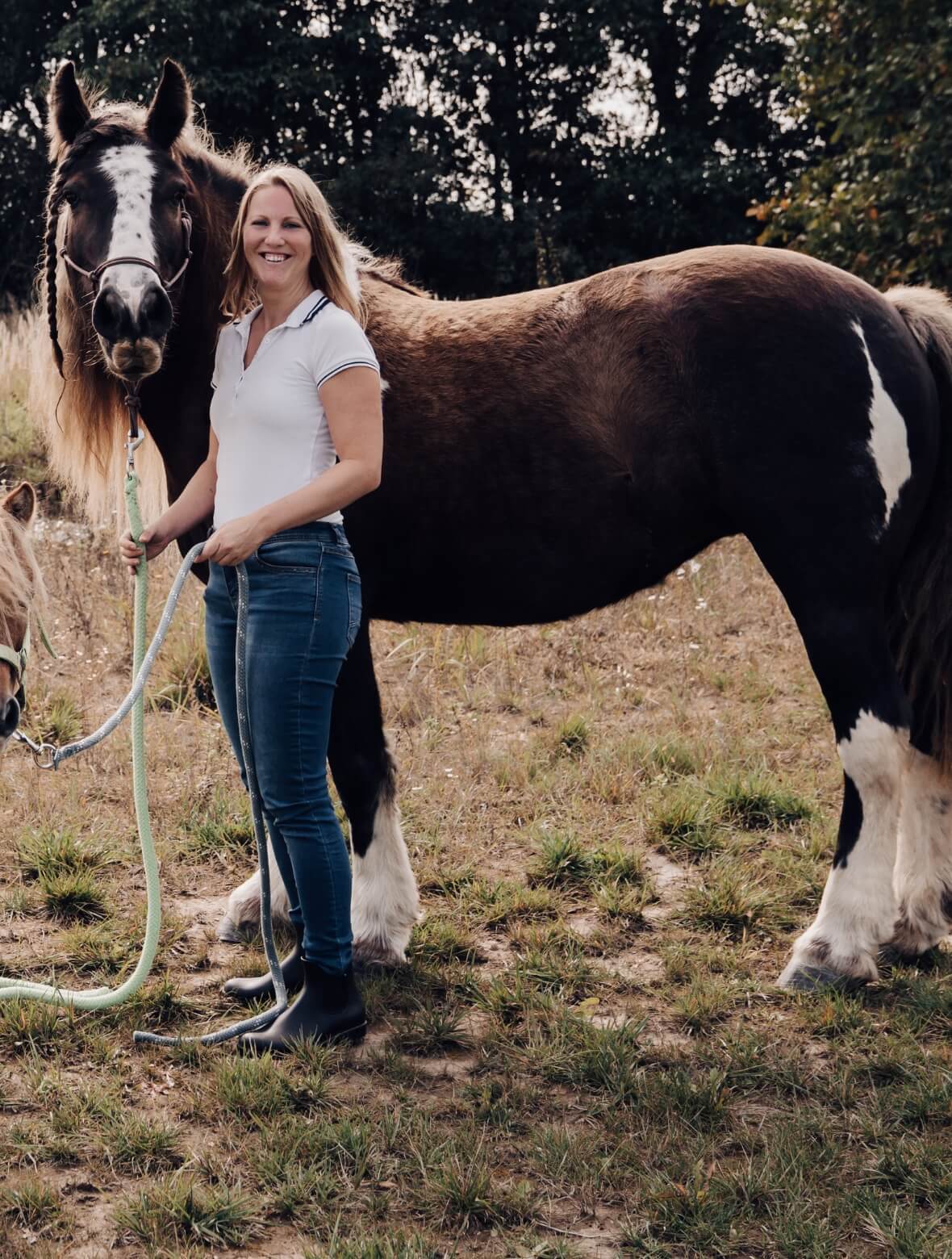 Persönlichkeitsentwicklung mit Pferd