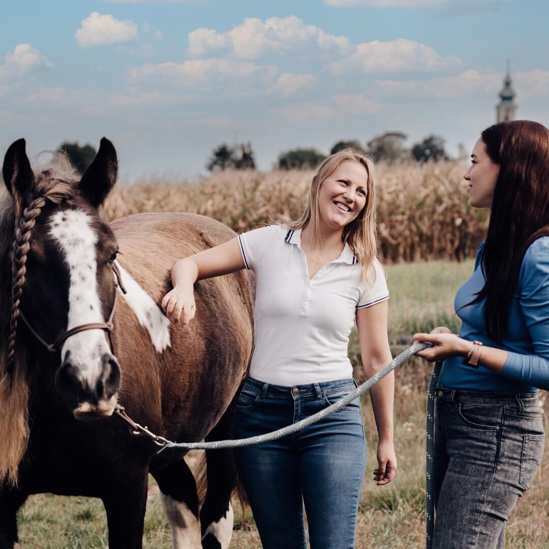 Coaching mit Pferd Mistelbach