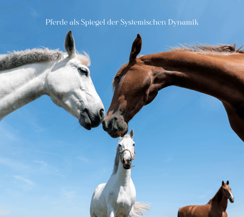 Aufstellung mit Pferd